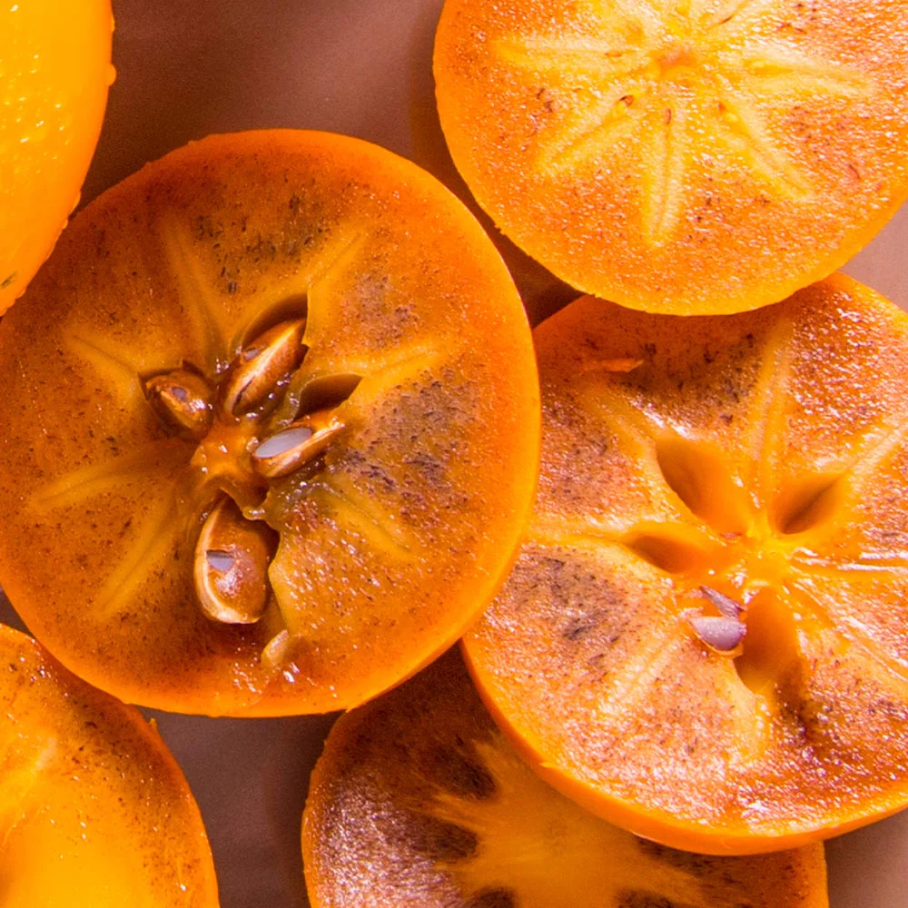 ÇİKOLATALI HARBİYE HURMA FİDANI