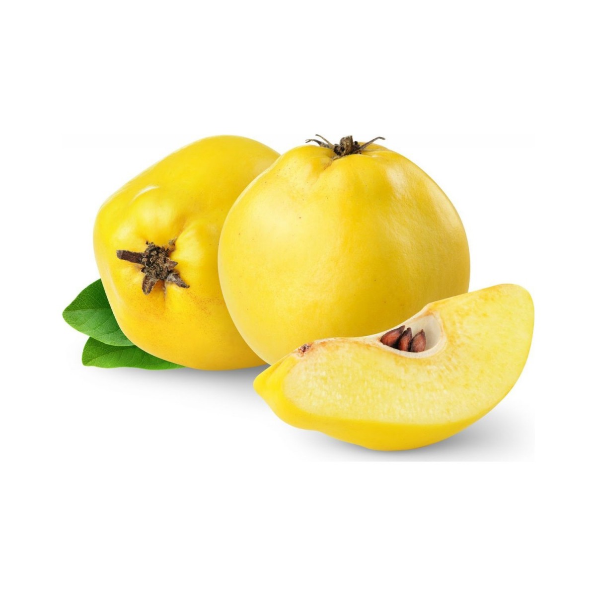 Ege 22 Ayva Fidanı 3 Yaş Tüplü ve Aşılı